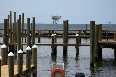 Gulf Shores Fishing Trip