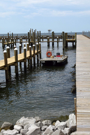 Gulf Shores Fishing Trip