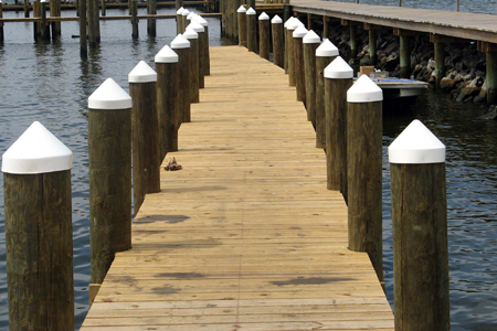 Gulf Shores Fishing Trip