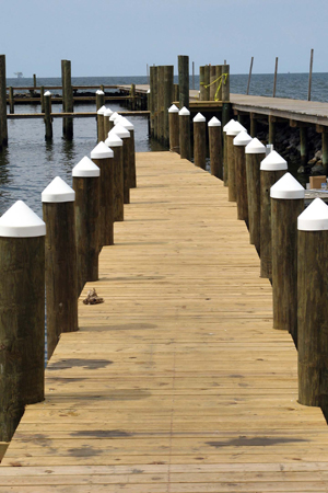 Gulf Shores Fishing Trip