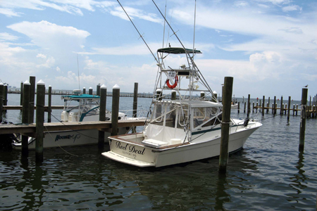 Gulf Shores Fishing Trip