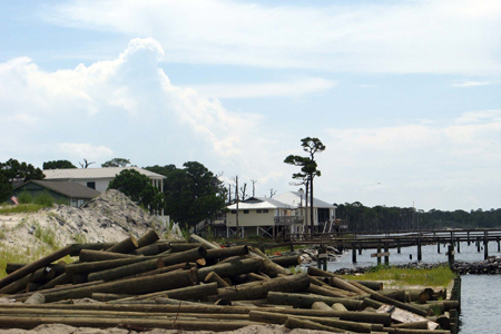 Gulf Shores Fishing Trip