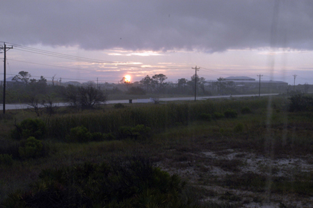 Gulf Shores Fishing Trip