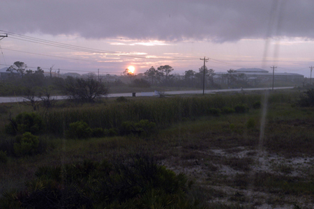 Gulf Shores Fishing Trip