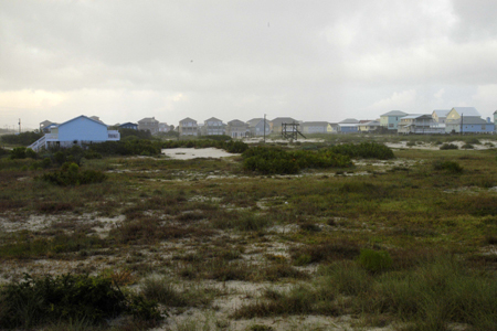 Gulf Shores Fishing Trip