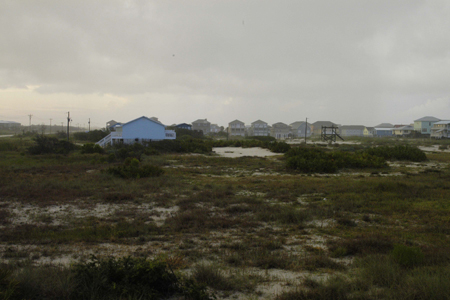 Gulf Shores Fishing Trip