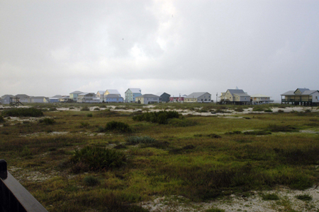 Gulf Shores Fishing Trip