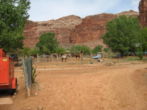 Havasupai 069