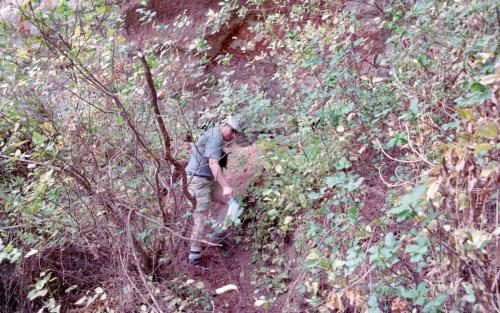 5 PC Watering Hole04