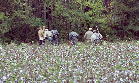 Confederate soldiers in a cotton field