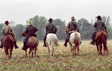 Some fine horses there