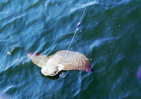 Sak's Fishing Trip 2005