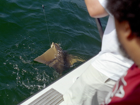 Sak's Fishing Trip 2005