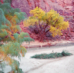 Scenery Paria Caynon