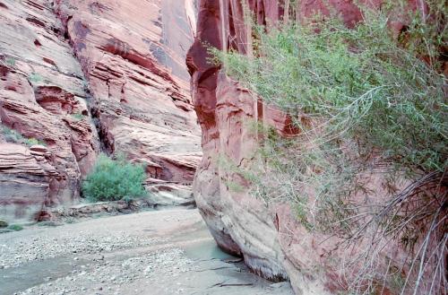 aq The Narrows01